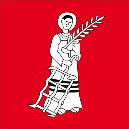 Rickenbach SO flag